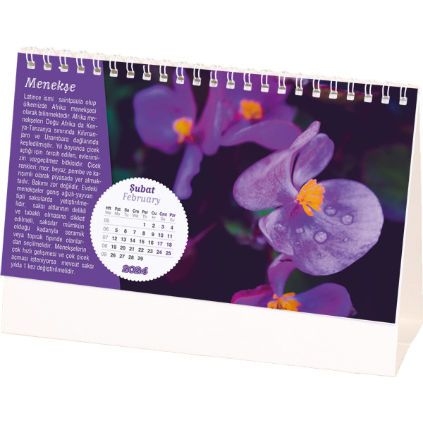 cicek_amerikan_bristol_2024