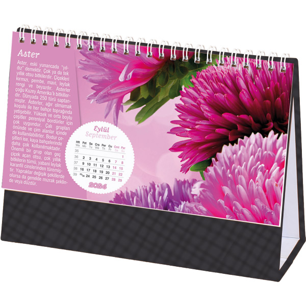 taslama_cicek_koyufume_2024