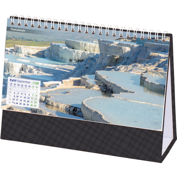 taslama_manzara_koyufume_2024